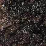 NdFeB Composite SERS Substrate