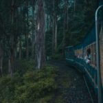 special trains Bengaluru Mysuru